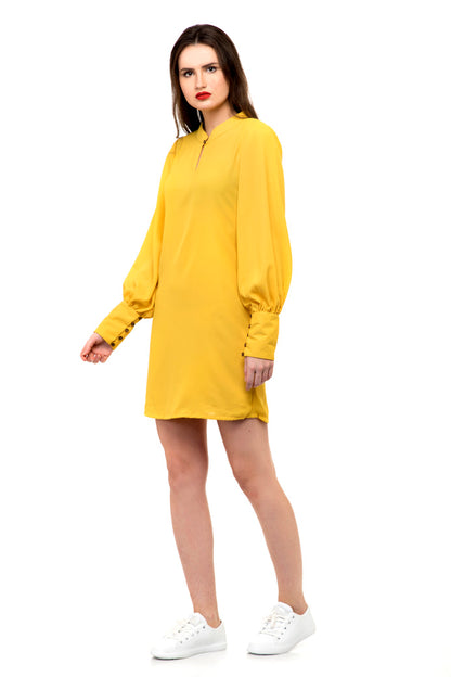Collared shift dress with buttoned sleeves