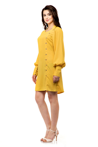 Button down shift dress