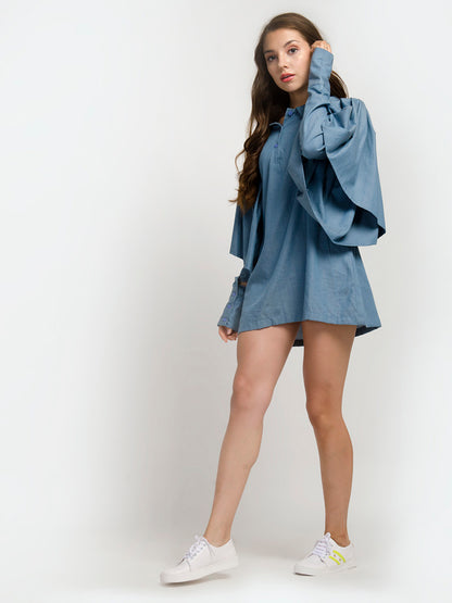 Ruffle Sleeve Collared Shirt Mini Dress